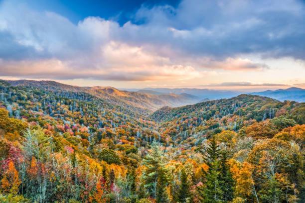 Breathtaking Sunsets, Views, Pool, Heaven Awaits! Vila Gatlinburg Exterior foto